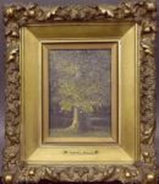 Forest Interior - view 1