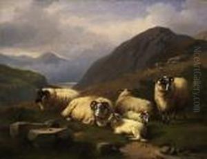 Sheep In The Scottish Highlands by Adolphe Robert Jones