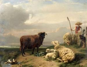 Berger, Belier, Brebis Et Agneaux