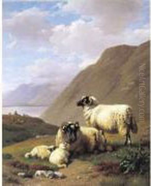 Bergmeer Met Schaapherder En Kudde - view 1