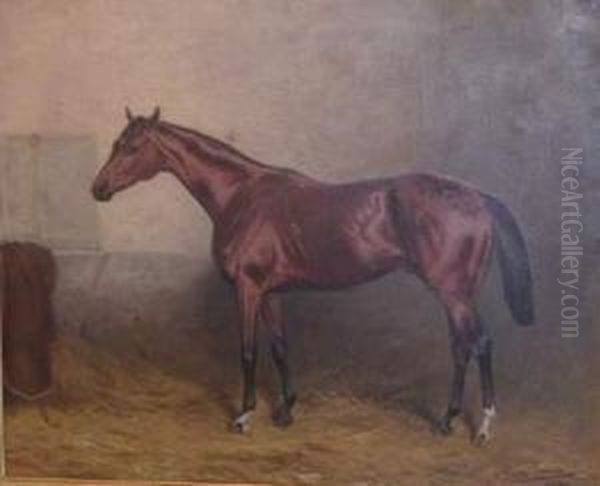 Adrian . Cheval Dans Son Paddock. Toile - view 1