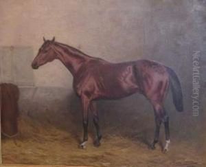 Adrian . Cheval Dans Son Paddock. Toile