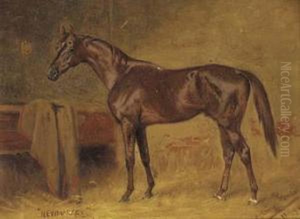 A Chestnut Racehorse In A Stable - view 1
