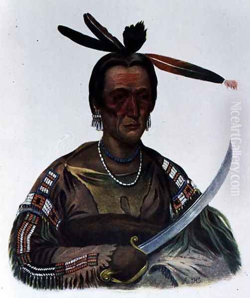 To-Ka-Cou, a Yankton Sioux Chief 1837 - view 1