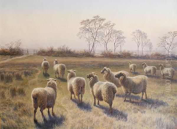 Sheep On A Farm - view 1