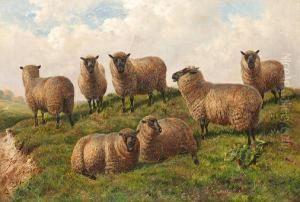 Sheep In A Landscape by Charles Jones