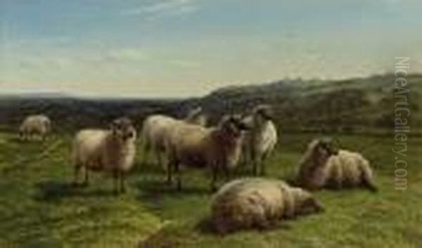 Sheep Grazing, Summertime - view 1