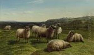Sheep Grazing, Summertime by Charles Jones