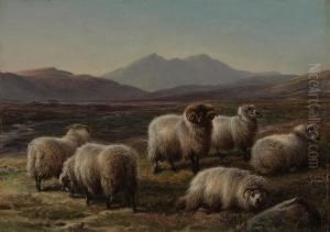 Sheep In A Highland Landscape by Charles Jones