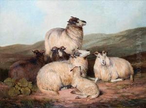 Sheep On A Moorland - view 1