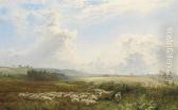 Sheep Grazing In A Meadow On A Summer's Day - view 1