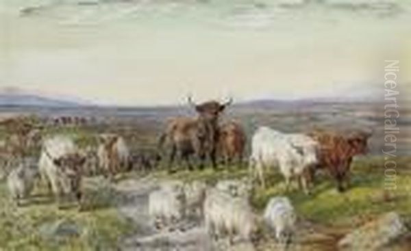 Driving Home The Herd - view 1