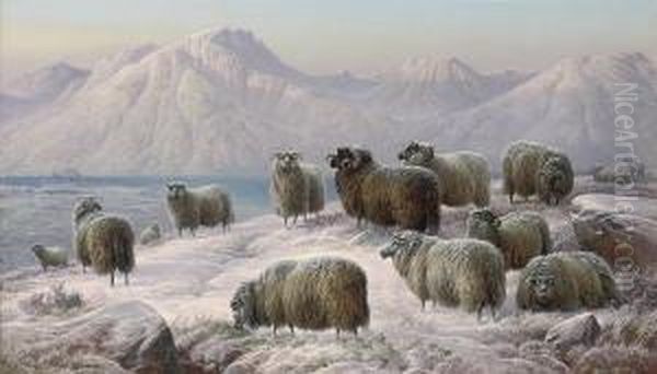 Winter Evening In The West Highlands - view 1