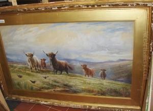 Highland Cattle And Grouse