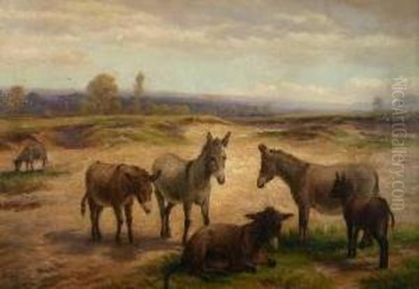 Six Donkeys In Dunes - view 1