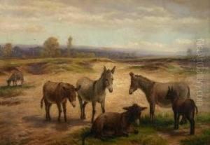 Six Donkeys In Dunes by Charles Jones