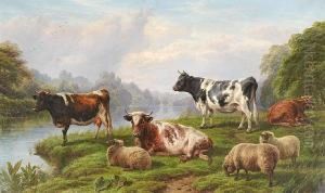 Cattle And Sheep By A River by Charles Jones