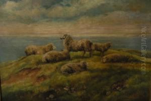 Coastal Grazing by Charles Jones