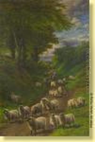 Troupeau De Moutons - view 1
