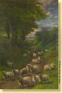 Troupeau De Moutons Troupeau De Moutons
