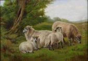 Sheep By Tree