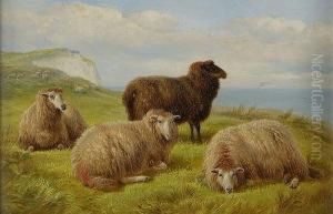 Sheep Resting On A Cliff Edge, With Monogram And Dated '72, Also Verso
