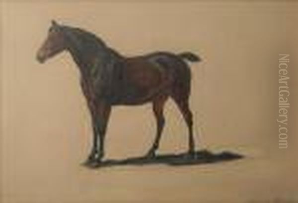 Study Of A Baygelding - view 1