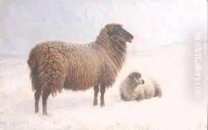 'sheep In A Winter's Landscape'