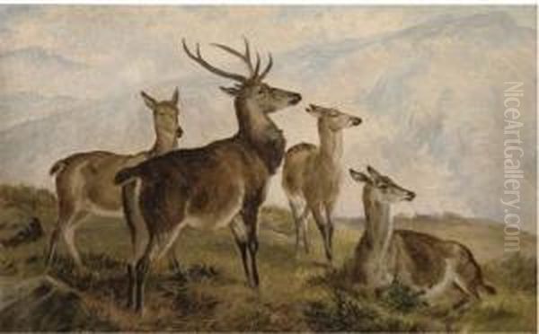 Deer In The Highlands - view 1