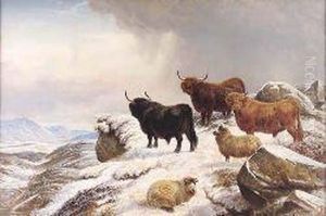 Highland Cattle And Sheep In A Snow Covered Highlandlandscape by Charles Jones