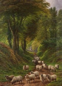 Sheep On A Country Path