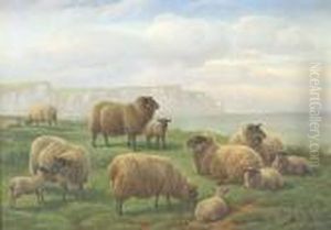 Sheep On A Grassy Clifftop, Chalk Cliffs Beyond by Charles Jones