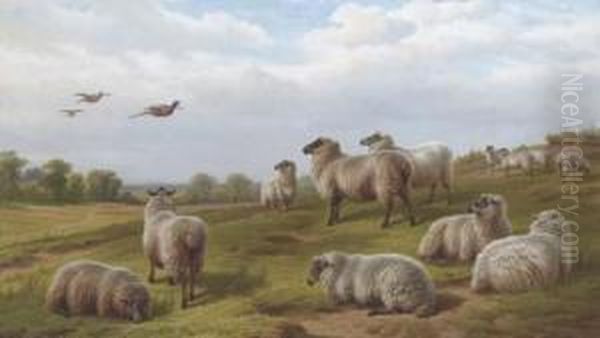 Sheep And Pheasant In A Landscape - view 1