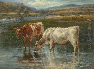 In The Stream, Yorkshire In The Stream, Yorkshire