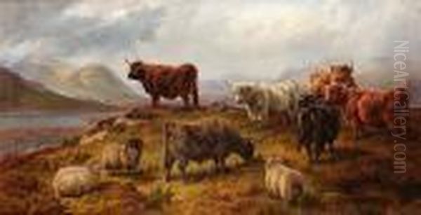 Highland Cattle And Sheep, Seen Near Loch Linnhie, Nb - view 1
