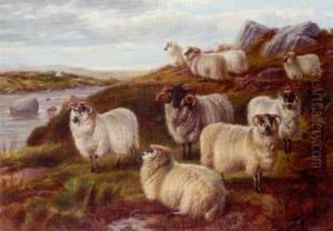 Sheep On Moorland Beside A River by Charles Jones