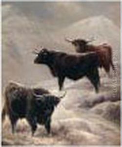 Highland Cattle On The Hills by Charles Jones