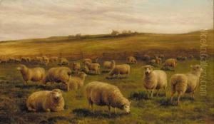 Sheep Grazing In A Coastal Landscape; And Sheep Grazing With A Cottage Beyond by Charles Jones