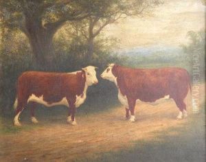 A Portrait Of Champion Hereford Cattle A Portrait Of Champion Hereford Cattle