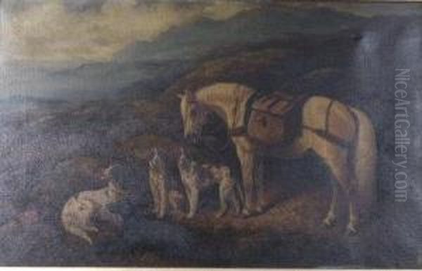 On The Edge Of The Moor - view 1