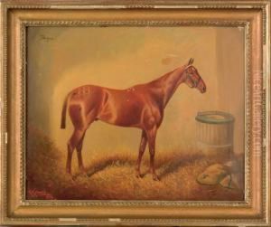 Horse Portrait by Herbert Jones