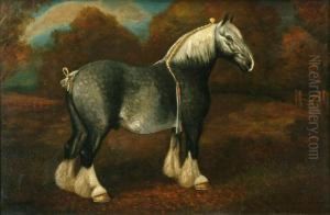 Princedappled Shire Horse Two by Herbert Jones