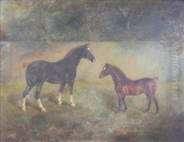 Portrait Of 'the King' And Of 'berkeley Bantam' - view 1