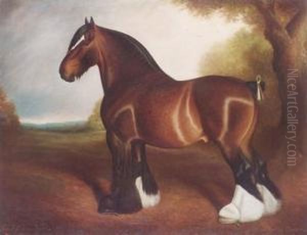 The Shire Stallion 'chorlton Clinker' - view 1