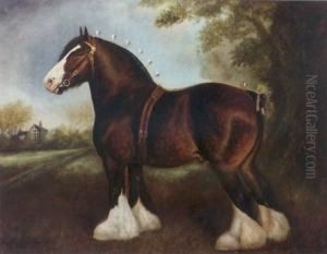 The Shire Stallion 'chorlton Fear None'