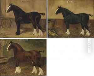 Beauty, A Shire Horse by Herbert Jones