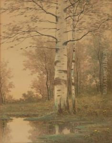 Forest Interior Landscape With Birch Trees - view 1