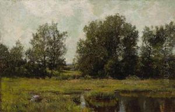 Marsh Landscape - view 1