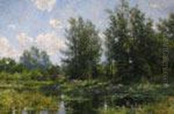 Lily Pond In Summer - view 1