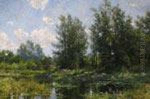 Lily Pond In Summer by Hugh Bolton Jones